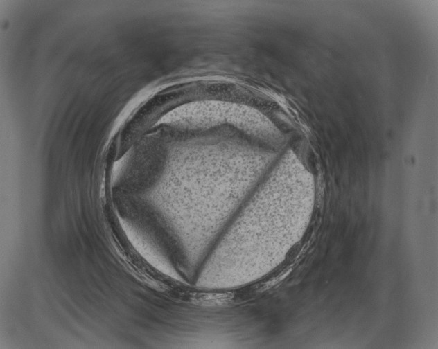 X0000083990056200703161633