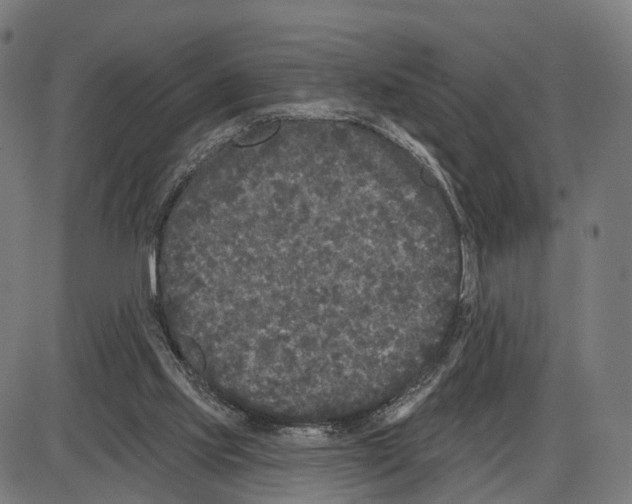 X0000083990061200703161633