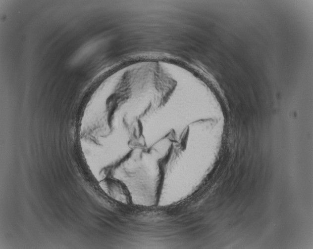 X0000083990063200703161633