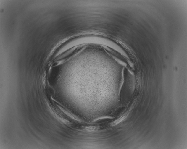 X0000083990064200703161633