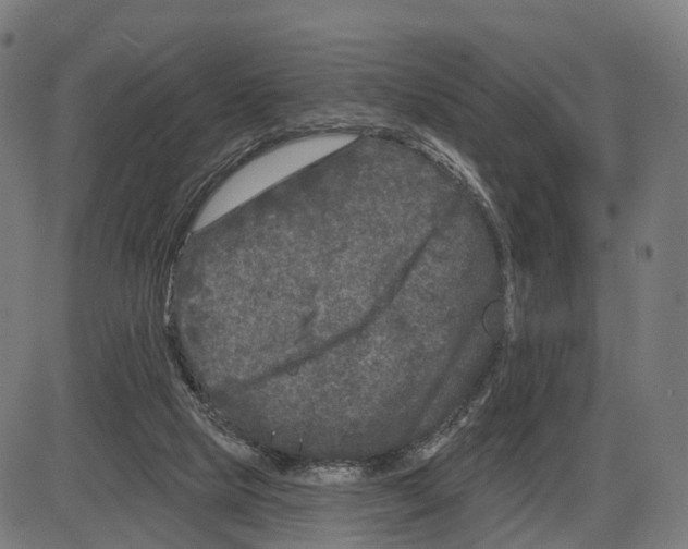 X0000083990065200703161633