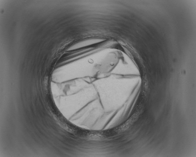 X0000083990066200703161633