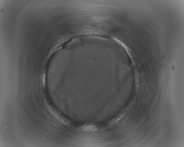 X0000083990067200703161633