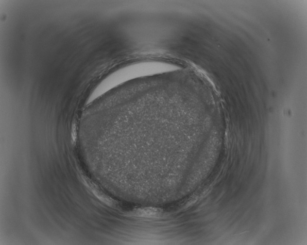 X0000083990069200703161633