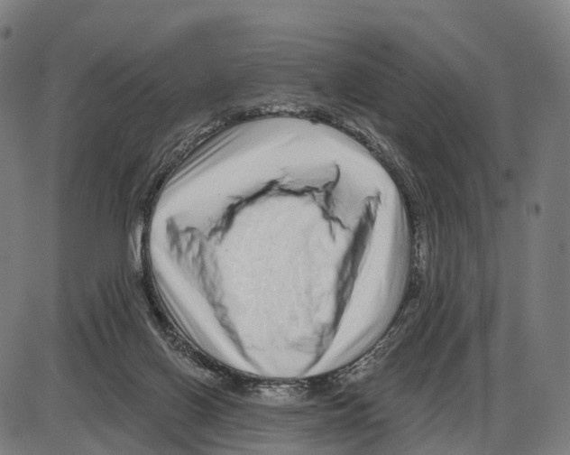 X0000083990070200703161633