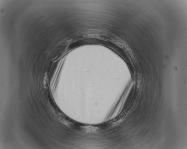 X0000083990073200703161633