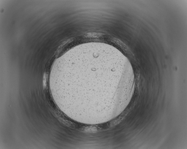 X0000083990075200703161633