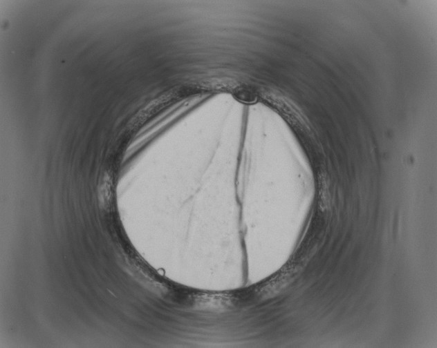 X0000083990077200703161633