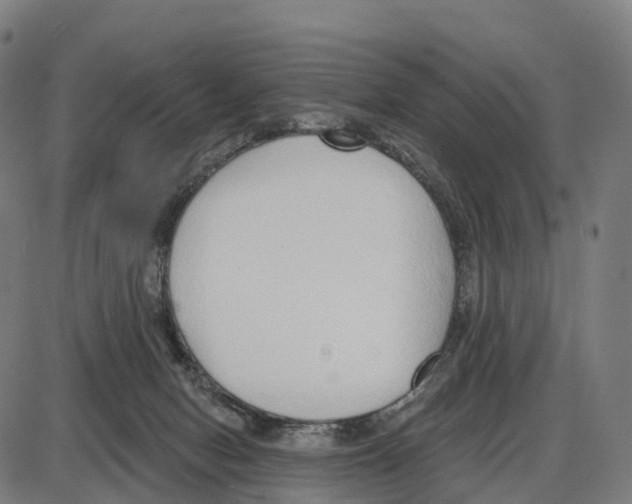 X0000083990078200703161633