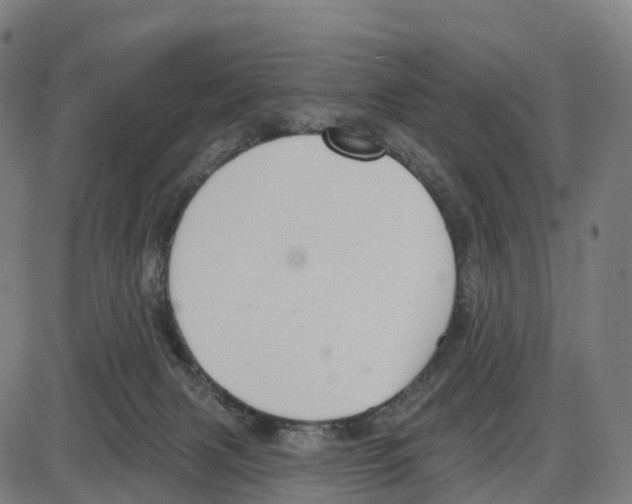 X0000083990079200703161633