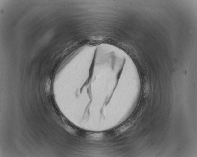 X0000083990081200703161633