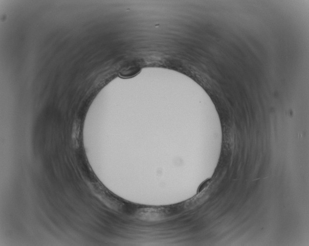 X0000083990082200703161633