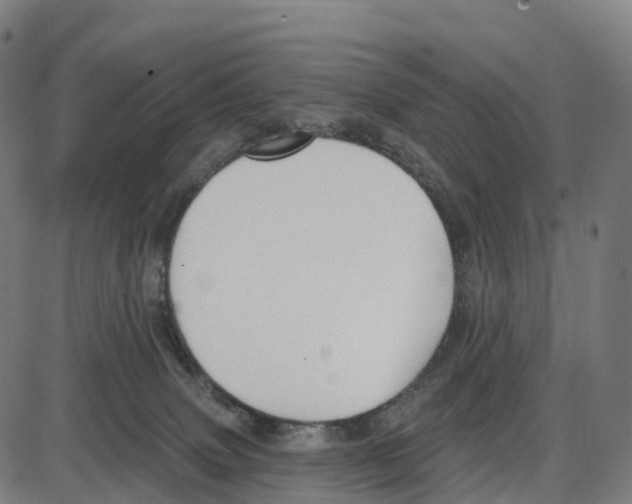 X0000083990083200703161634