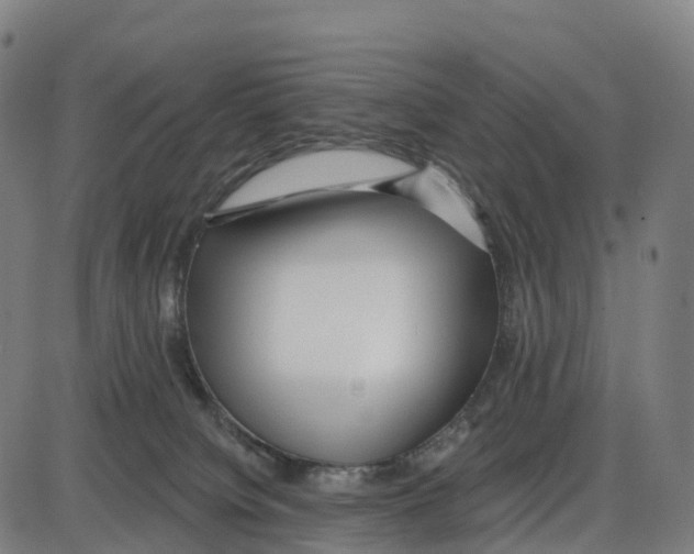 X0000083990084200703161634