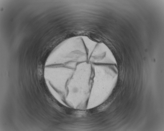 X0000083990085200703161634