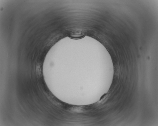 X0000083990086200703161634