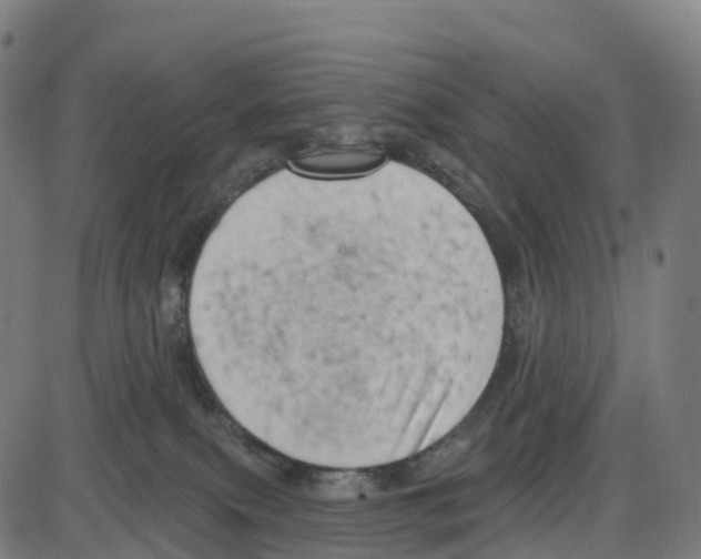 X0000083990087200703161634