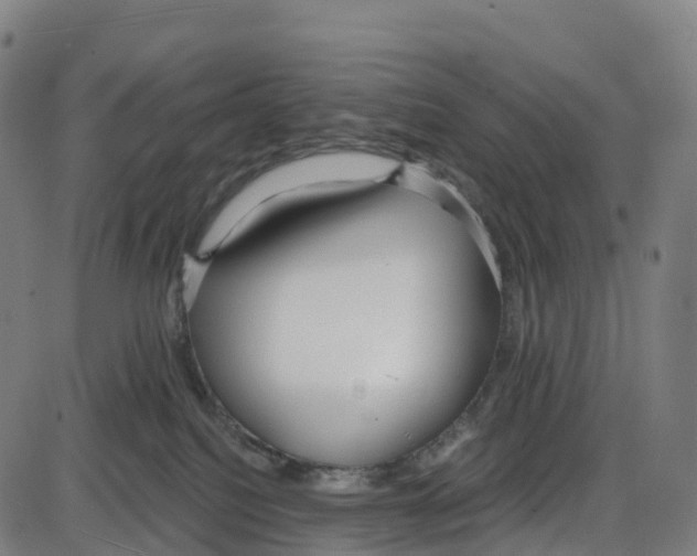 X0000083990088200703161634