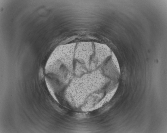 X0000083990089200703161634