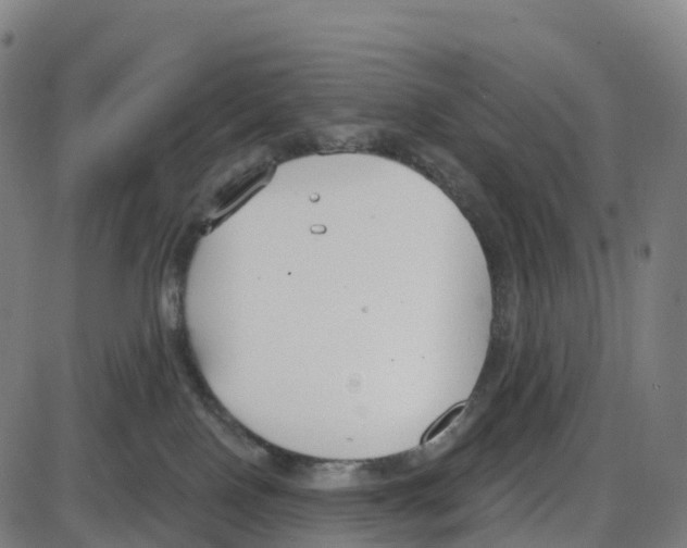 X0000083990090200703161634