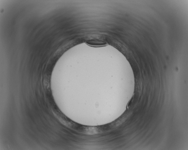 X0000083990091200703161634