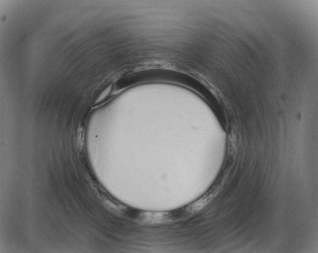 X0000083990093200703161634