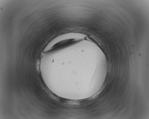 X0000083990094200703161634