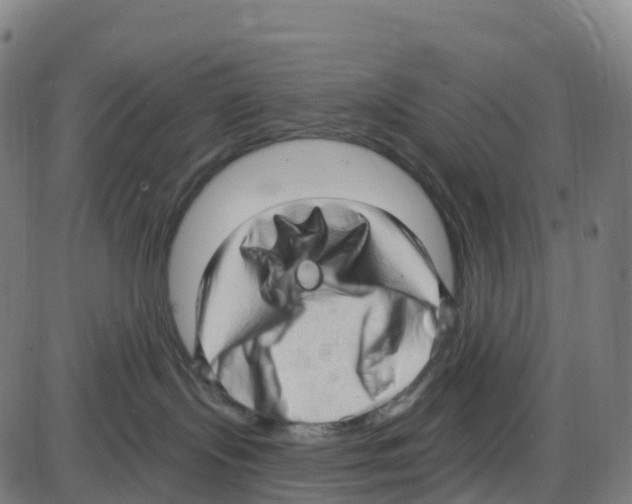 X0000083990095200703161634