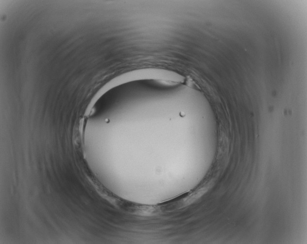 X0000083990096200703161634