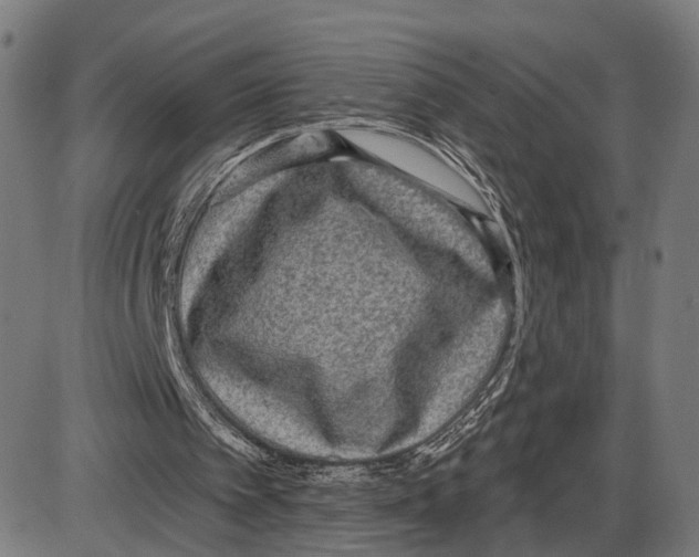 X0000083990097200703161633