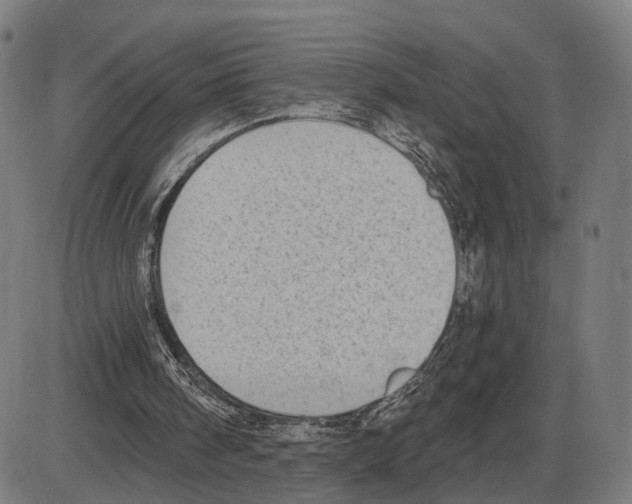 X0000083990098200703161633