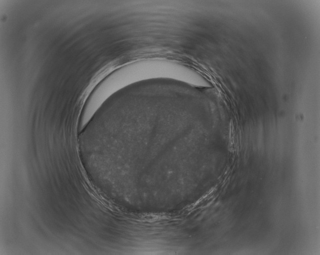 X0000083990099200703161633