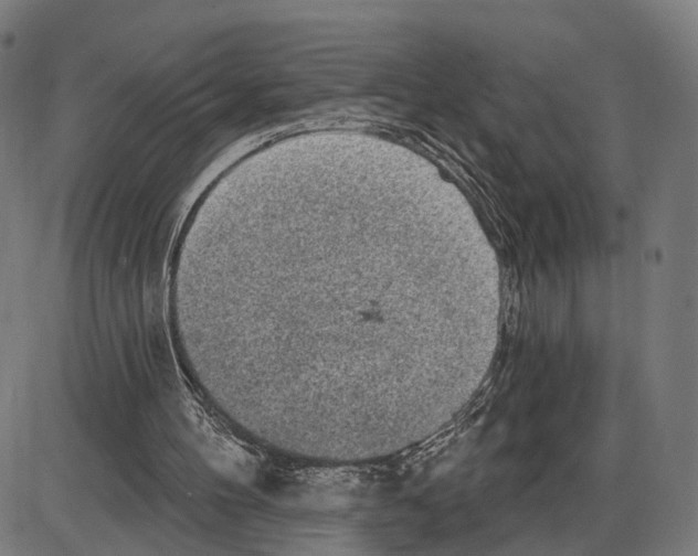 X0000083990100200703161633