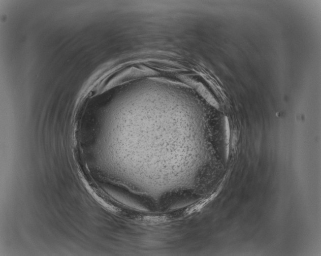 X0000083990101200703161633