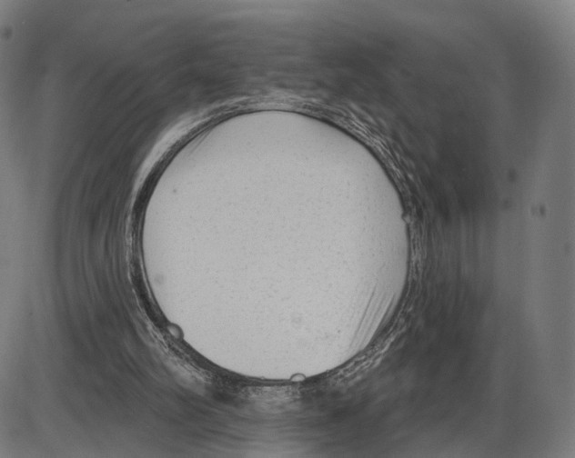 X0000083990102200703161633