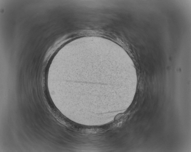 X0000083990103200703161633