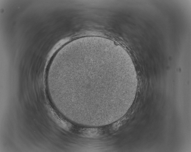 X0000083990104200703161633