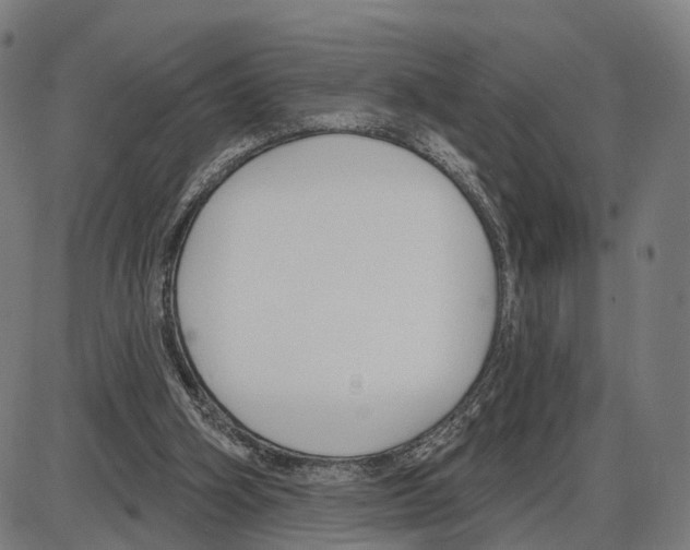 X0000083990106200703161633