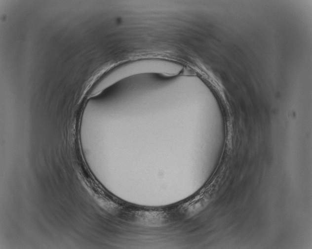 X0000083990107200703161633