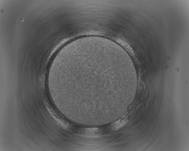 X0000083990108200703161633