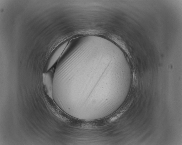 X0000083990109200703161633