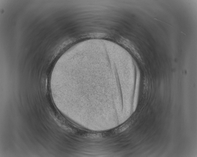 X0000083990110200703161633