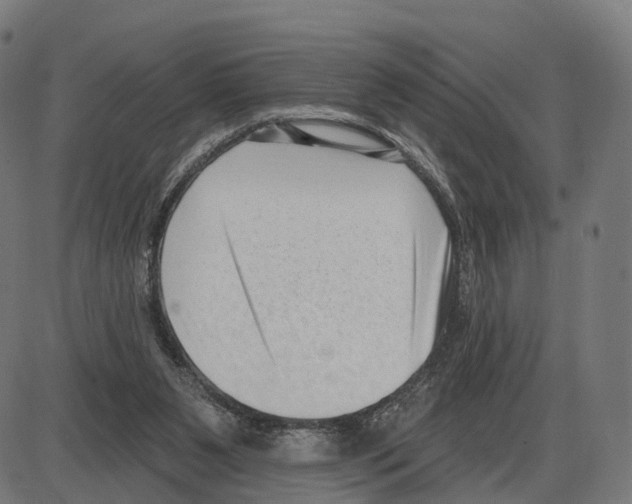 X0000083990111200703161633