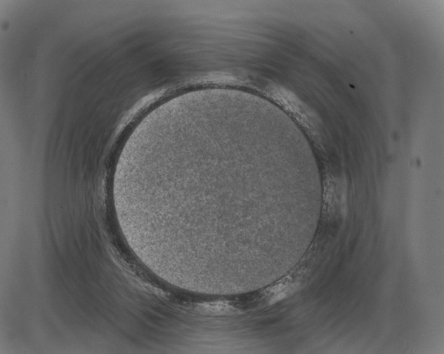 X0000083990112200703161633