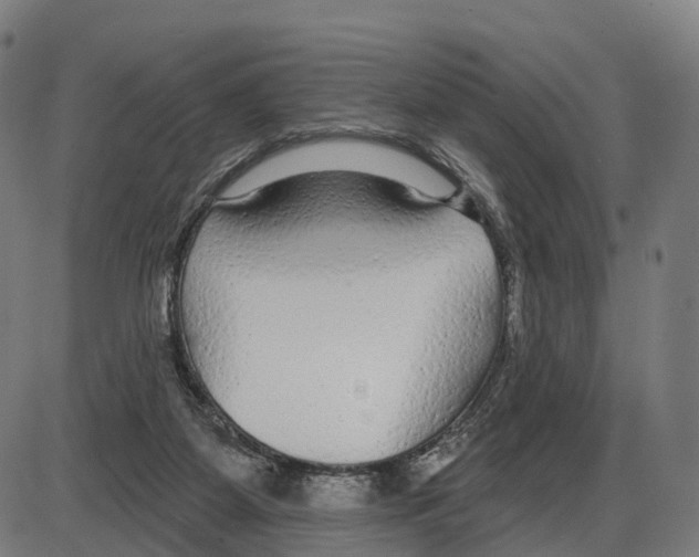 X0000083990115200703161633