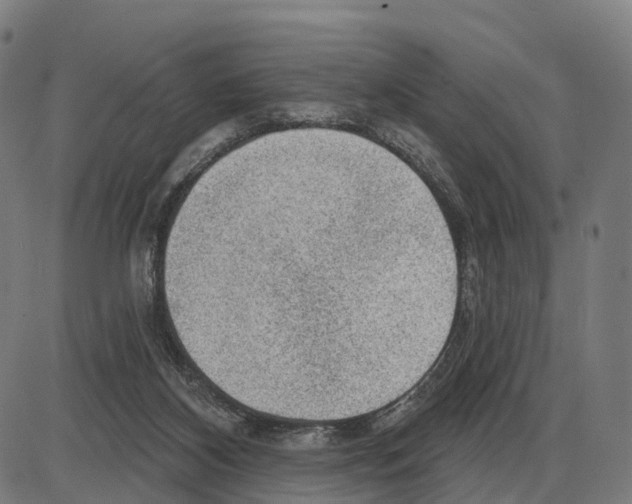 X0000083990116200703161633