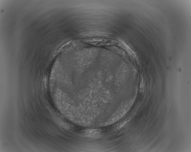 X0000083990117200703161633