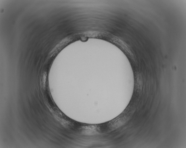 X0000083990118200703161633