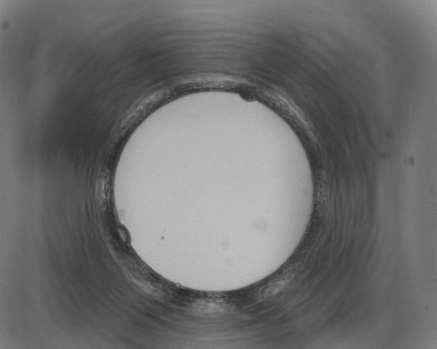 X0000083990119200703161633