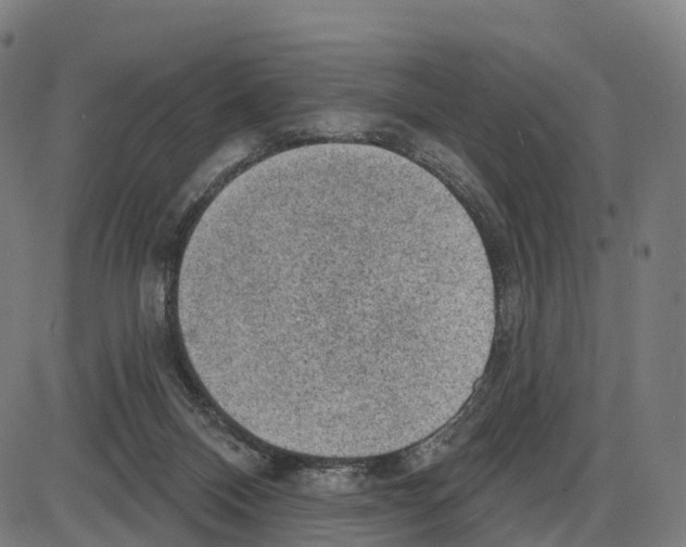 X0000083990120200703161633